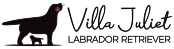 Villa Juliet - Allevamento Labrador Retriever
